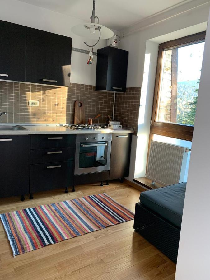 Cioplea View Predeal Exterior foto