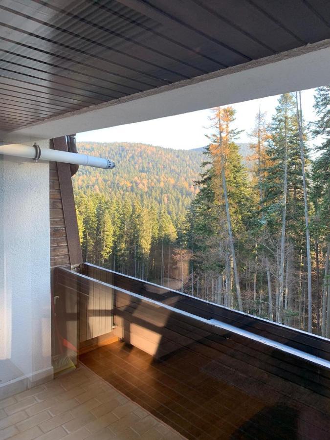 Cioplea View Predeal Exterior foto